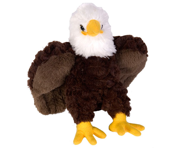 Wr11497 Cuddlekins Bald Eagle, 8 In.