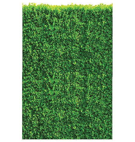Hedge Vinyl Wall Decals - 25 X 38 In. - 2 Per Pack