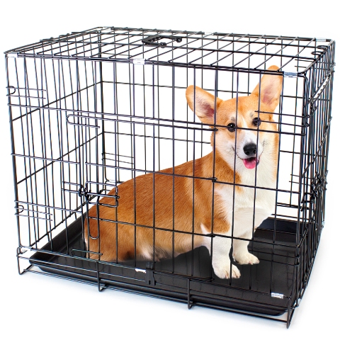 Brybellyholdings Acag-003 30 In. Medium Dual-door Folding Pet Crate With Removable Liner