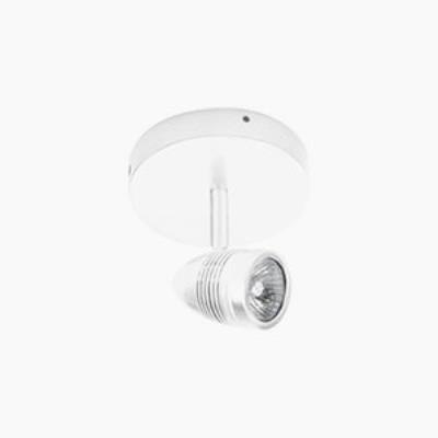 One Light Ceiling Mount Display Lamp, White Finish