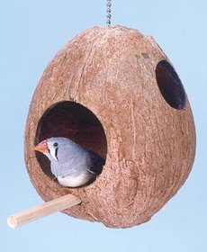 Coconut Birdhouse - For Small Birds