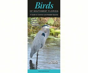 Qrp104 Birds Of Southwest Florida