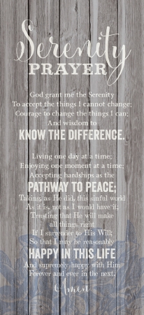78817 Wall Plaque - New Horizons - Serenity Prayer Wall Plaque, 5.5 X 12 In.