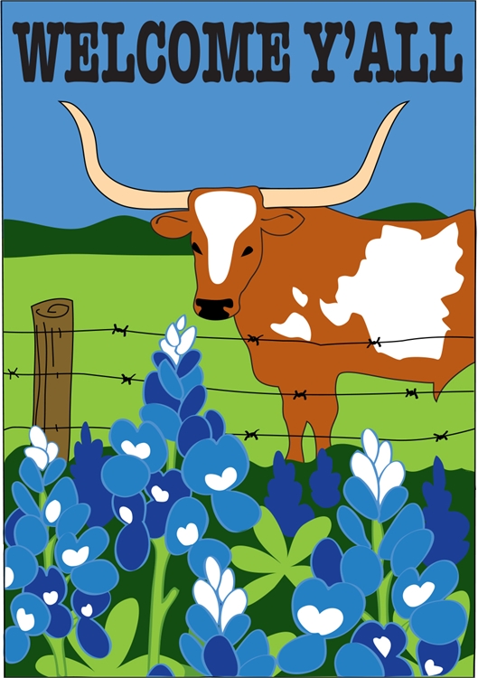 5 Welcome Longhorn Flag, Large