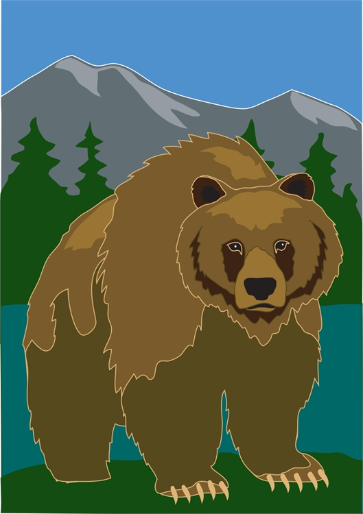 791 Grizzly Bear Flag, Large