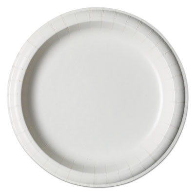 UPC 078731778642 product image for Dixie Food Service DXESXP9W Round Ultra Paper Plates White - 8.5 in. dia. - 125  | upcitemdb.com