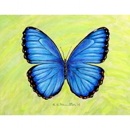 Pm348 Dicks Blue Morpho Place Mat - Set Of 4