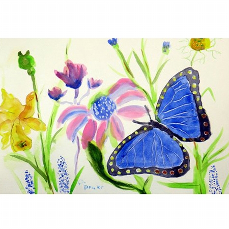 Pm349 Blue Morpho Place Mat - Set Of 4