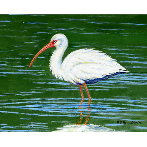 Pm378 Dicks White Ibis Place Mat - Set Of 4