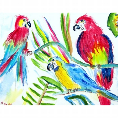 Pm392 Three Parrots Place Mat - Set Of 4