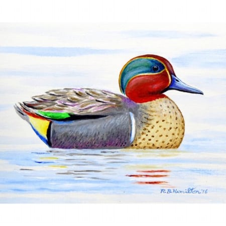 Pm435 Green Wing Teal Place Mat - Set Of 4