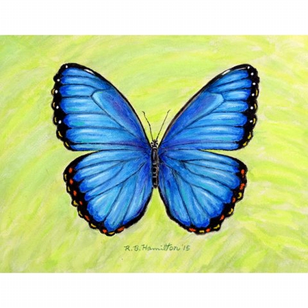 Dm348 Dicks Blue Morpho Door Mat, Small