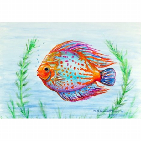 Dm358 Orange Fish Door Mat, Small