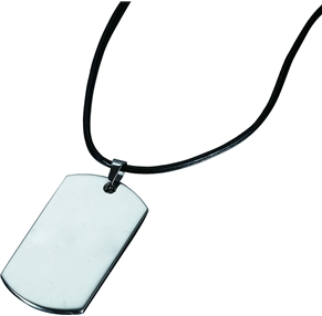 Vpd700 Oswald Stainless Steel Pendant Necklace