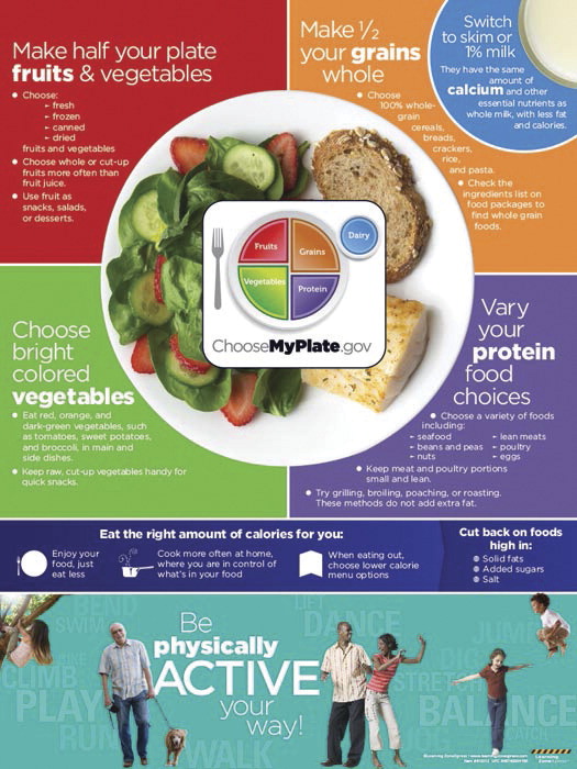 1491563 Active My Plate Poster, 18 X 24 In.
