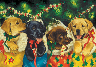 Vermont Christmas BB8185X Puppies Advent Calendar  5 Pack