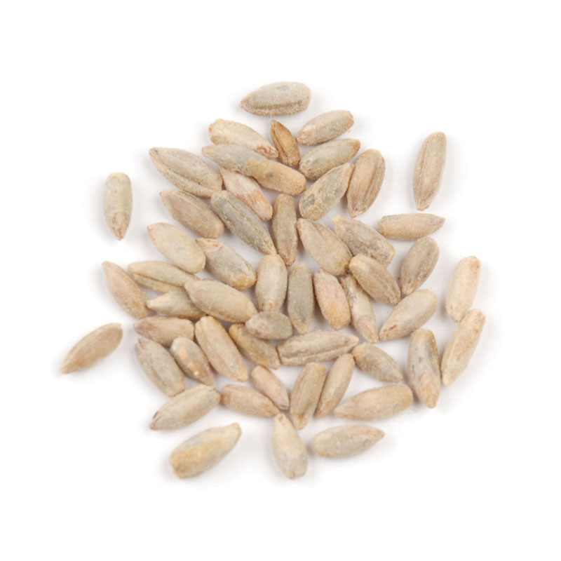 Picture of DAllesandro Rye Berries - 25 lbs Bag