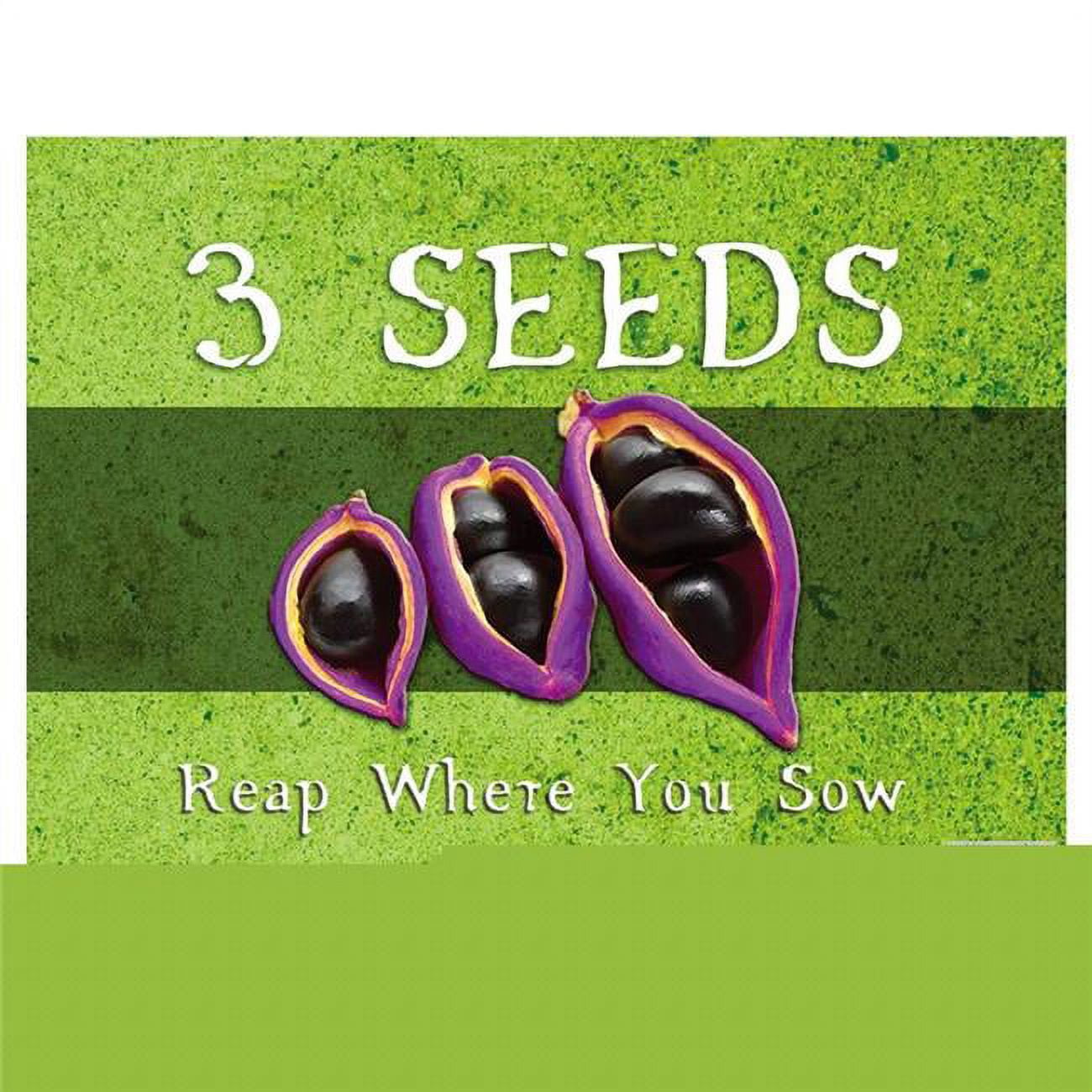 Picture of Chara Games XRG0002 3 Seeds - Reap Where You Sow Game