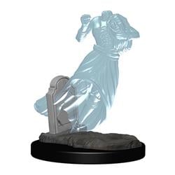 Dungeons & Dragons Nolzurs Marvelous Unpainted Ghosts W1 Miniature