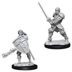 Dungeons & Dragons Nolzurs Marvelous Male Human Fighter W8 Miniatures