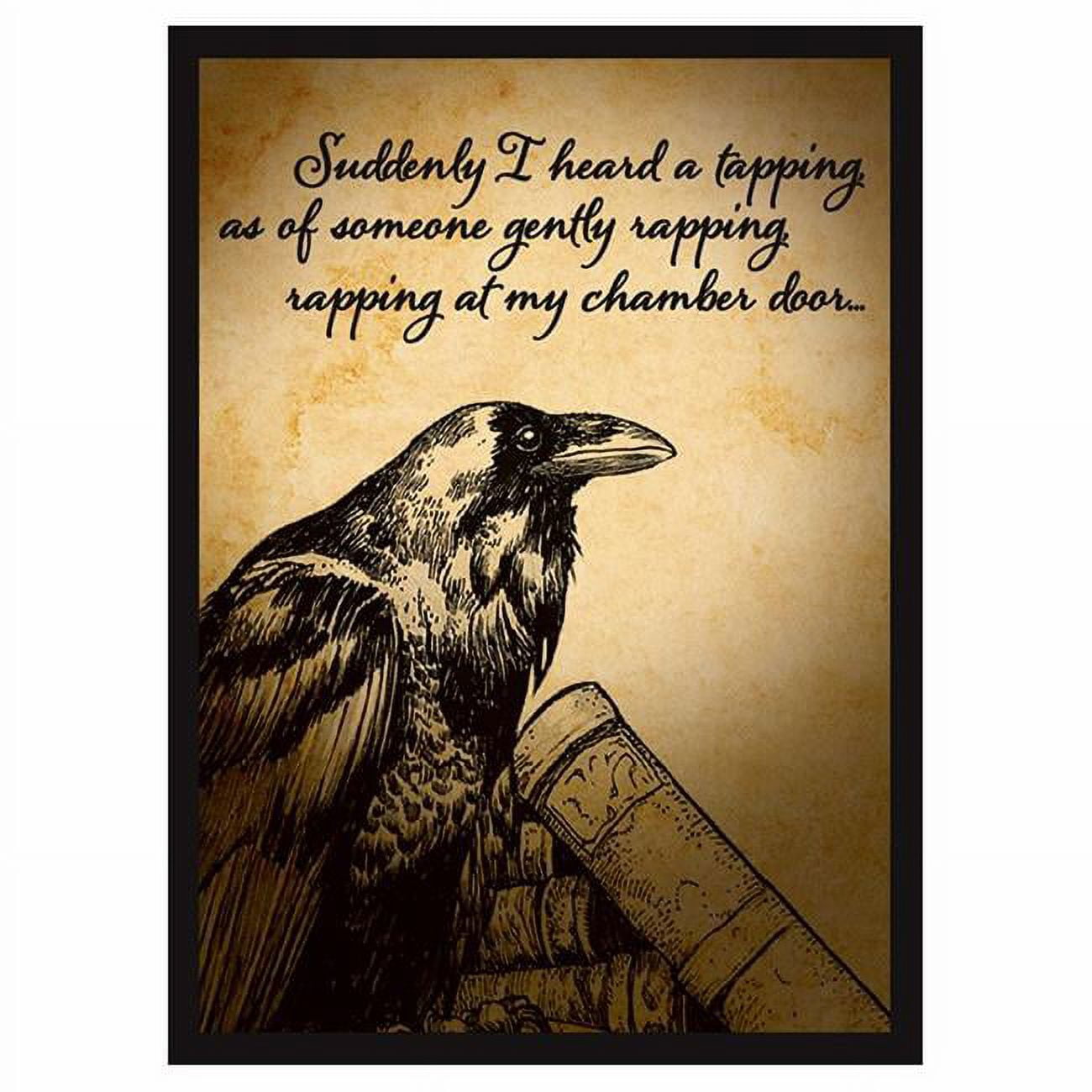 Legion Supplies LGNMAT094 Raven 2019 Deck Protector - 50 Count