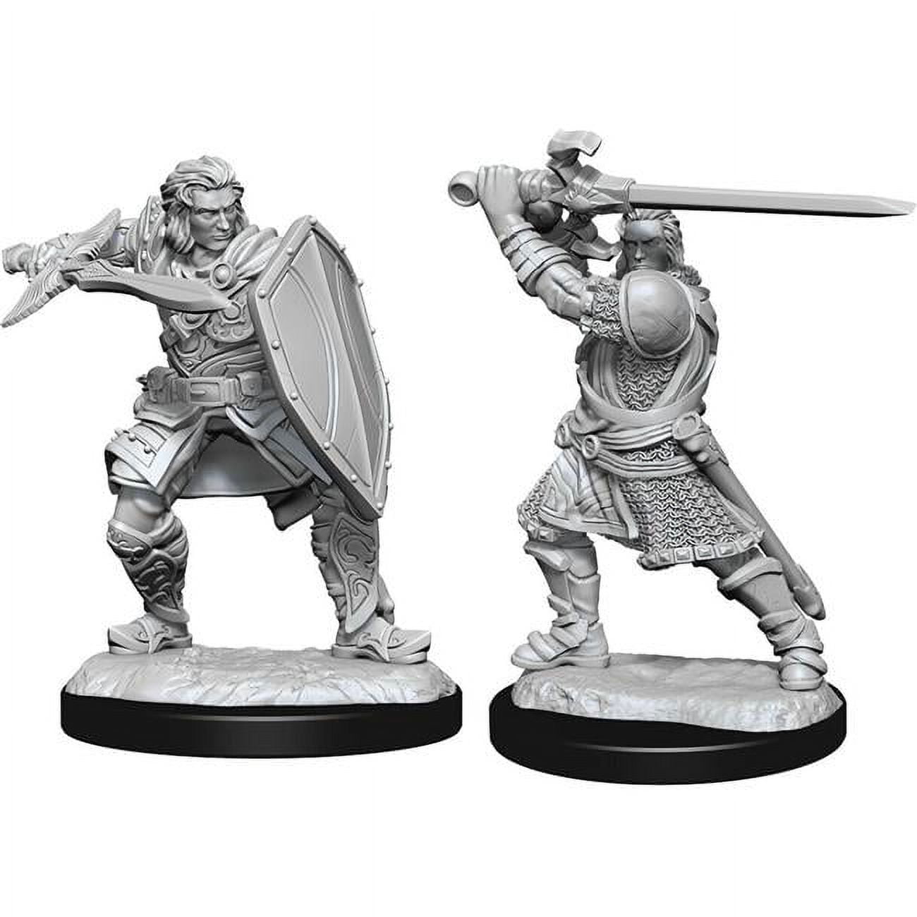 D&D Nolzurs Marvelous Unpainted Human Paladin Male W14 Miniature