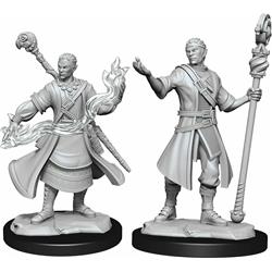 WZK90229 D & D NMU Half-Elf Wizard Male W14 Miniatures