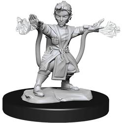 D&D Nolzurs Marvelous Unpainted Gnome Artificer Female W14 Miniature