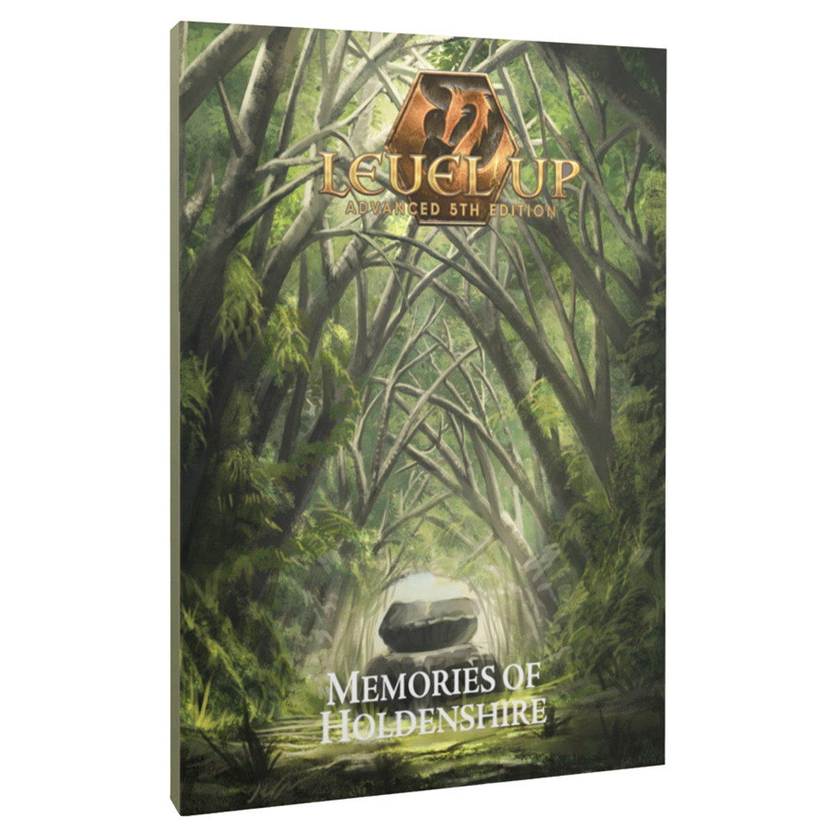 ENP7001 Level Up Advanced 5th Edition - Adventure - Memories of Holdenshire Role Playing Game Book