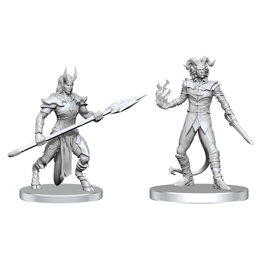 WZK90840 Pathfinder Battles Deep Cuts Vordine & Pitborn Rogue Miniature