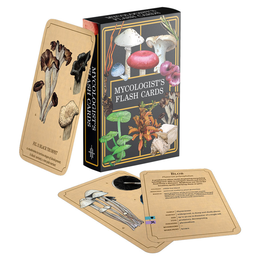 REN02918 Mycologists Primer Flash Cards Role Playing Game