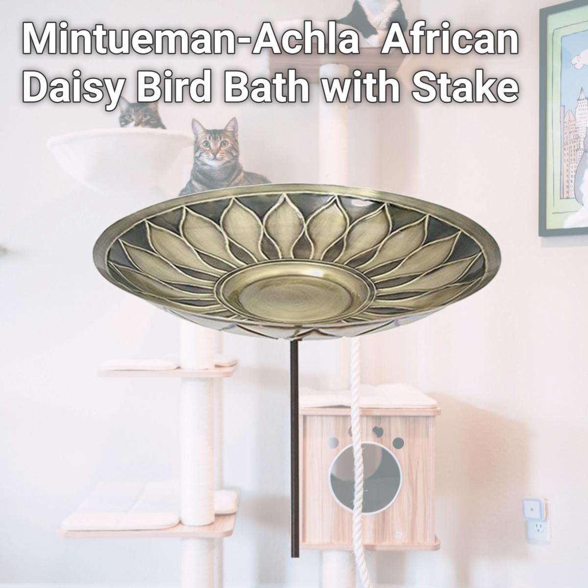 Picture of Mintueman-Achla BB-09-S African Daisy Bird Bath with Stake