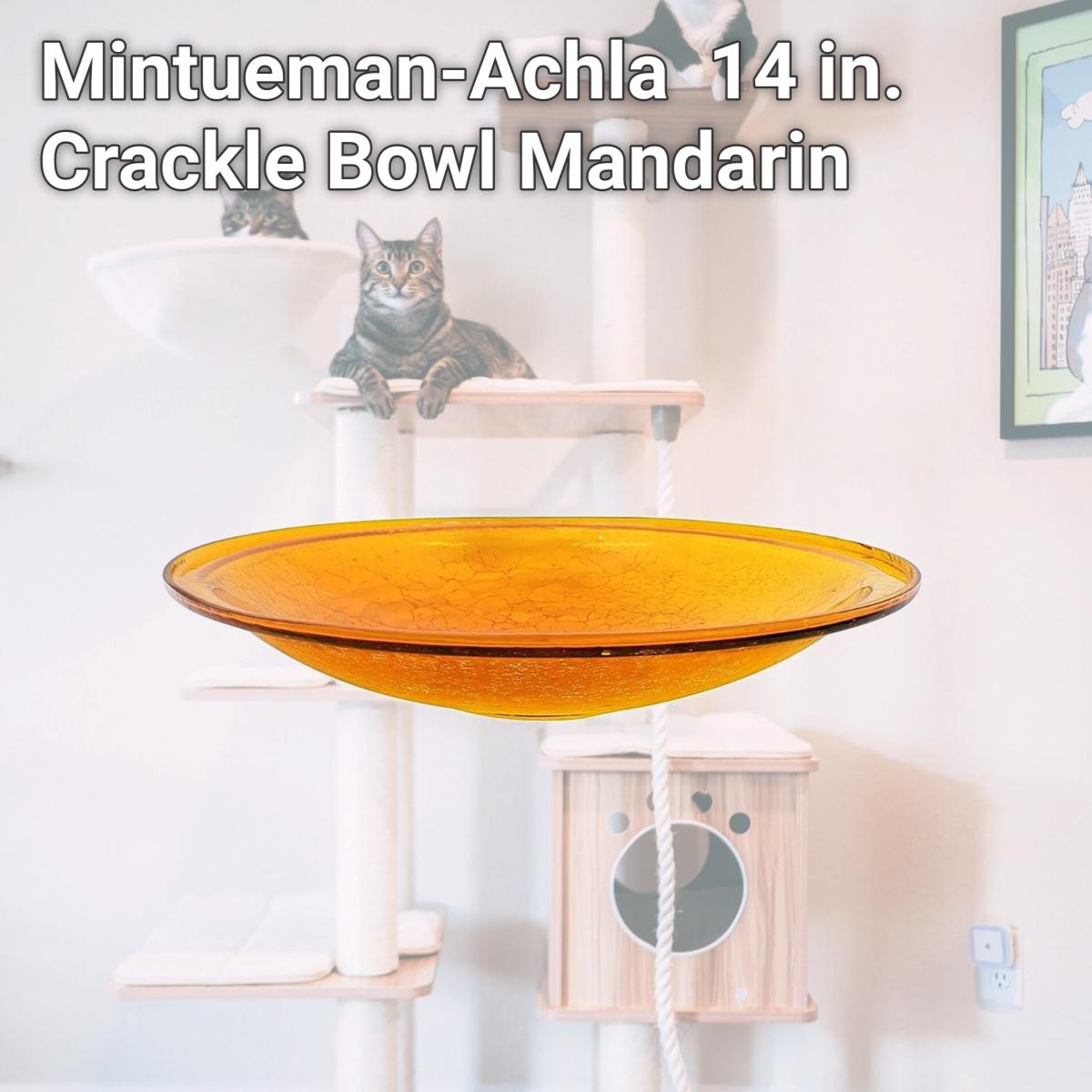 Picture of Mintueman-Achla CGB-14M 14 in. Crackle Bowl, Mandarin