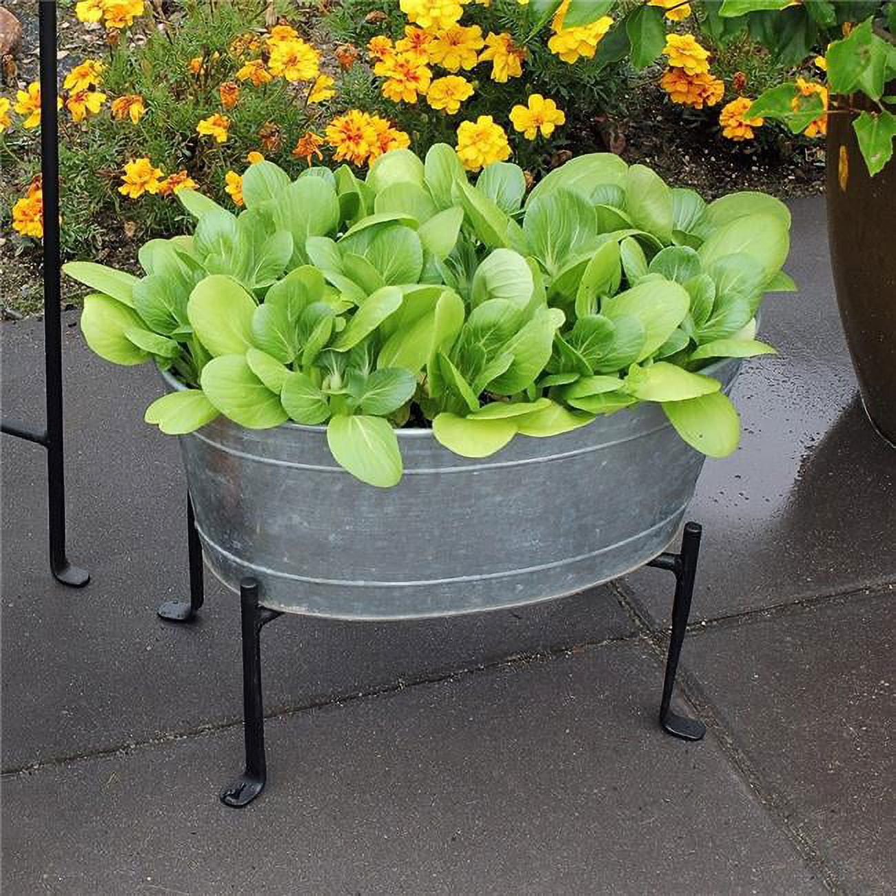Picture of Achla C-51M-S1 Mini Oval Galvanized Tub with Folding Stand&#44; Galvanized Steel & Black