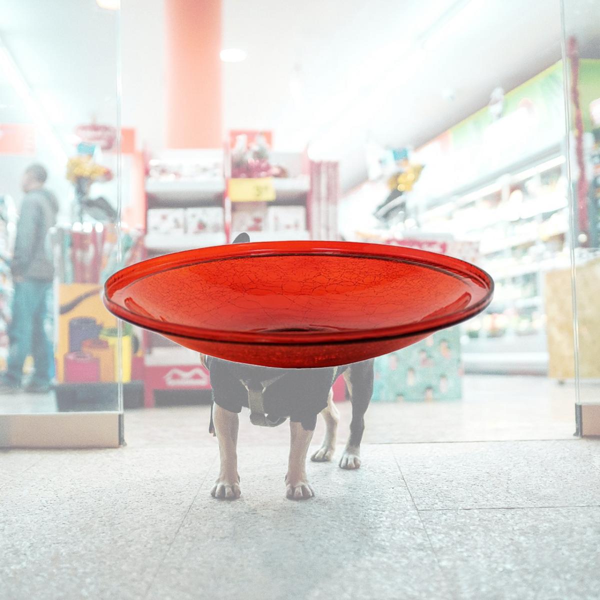 Picture of Achla CGB-14R 14 in. Red Crackle Glass Bowl