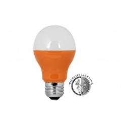 FEIT ELECTRIC