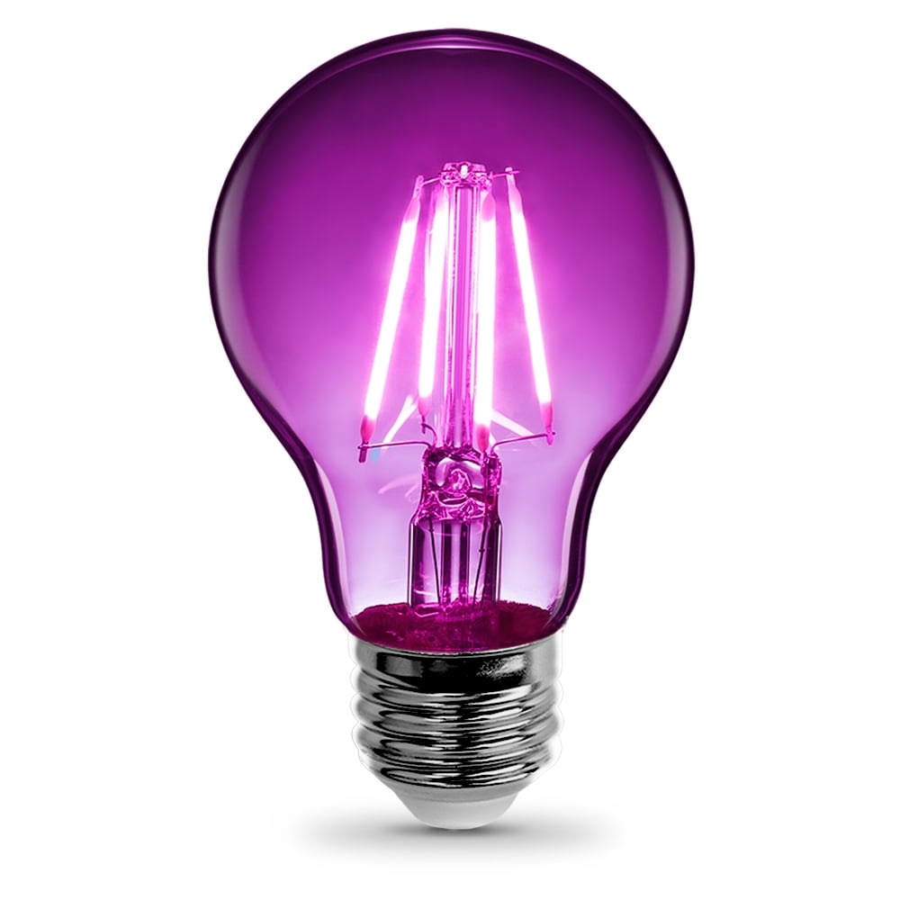 3.6 watt A-Line A19 Filament LED Bulb  Purple