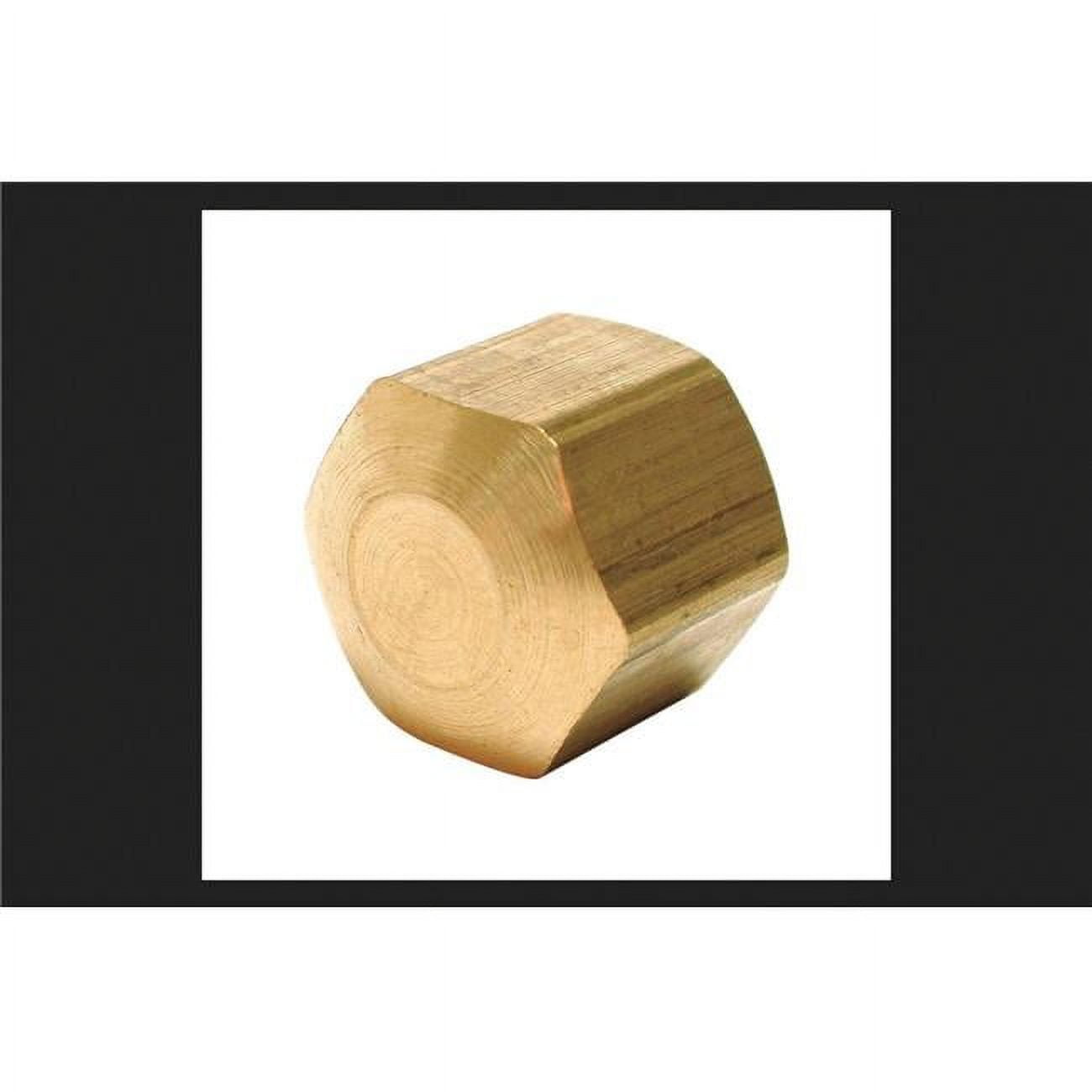 0.25 in. Dial Brass Cap