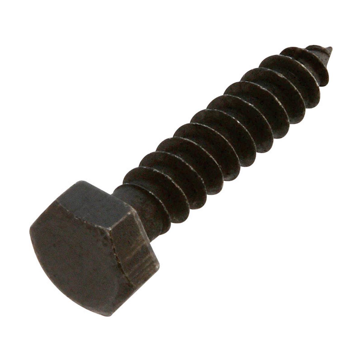 0.31 x 1.5 in. Hex Lag Screw, Black