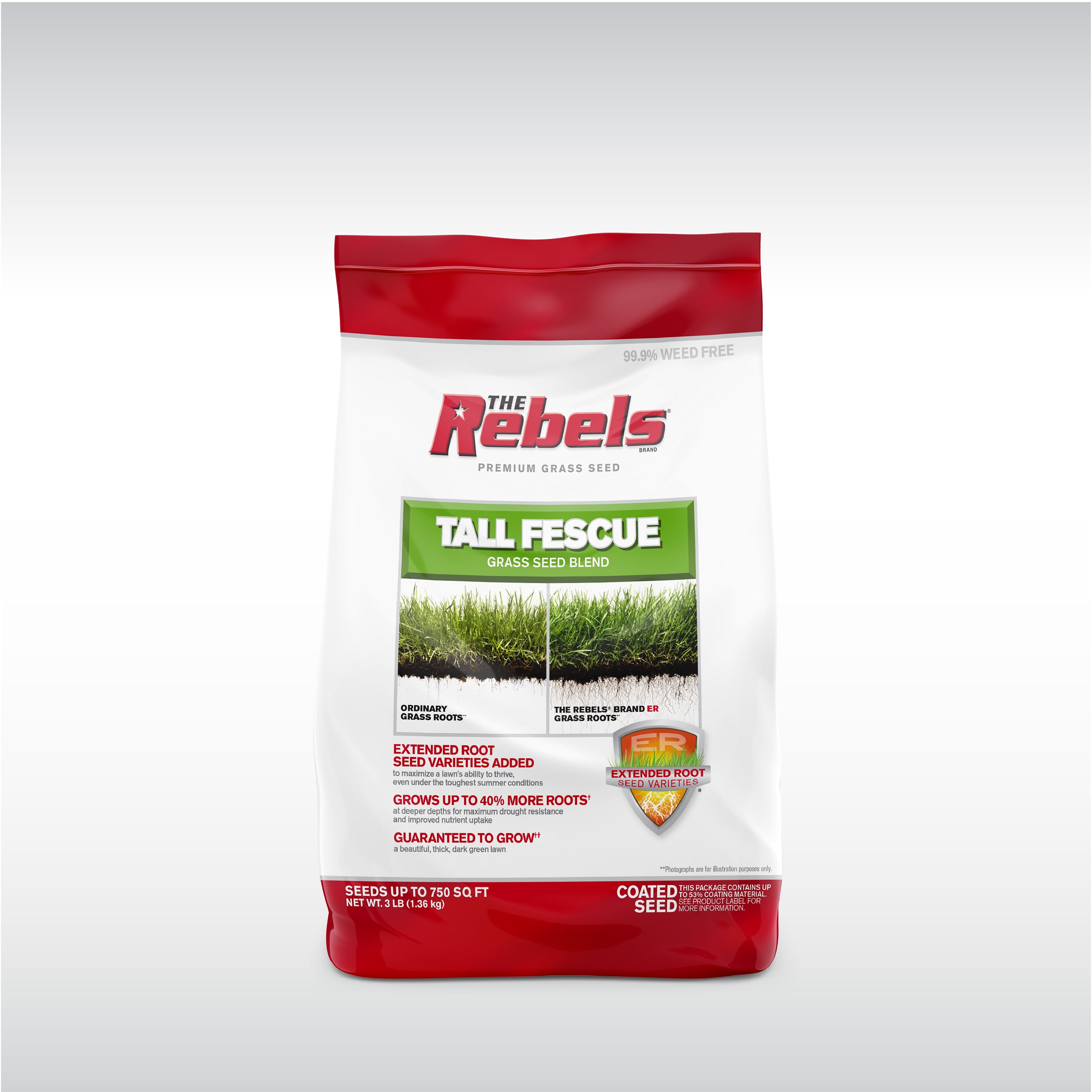 Tall Fescue Blend bag, 3 lbs