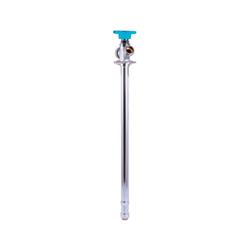 1/2 in. MPT PTC Anti-Siphon Brass Sillcock