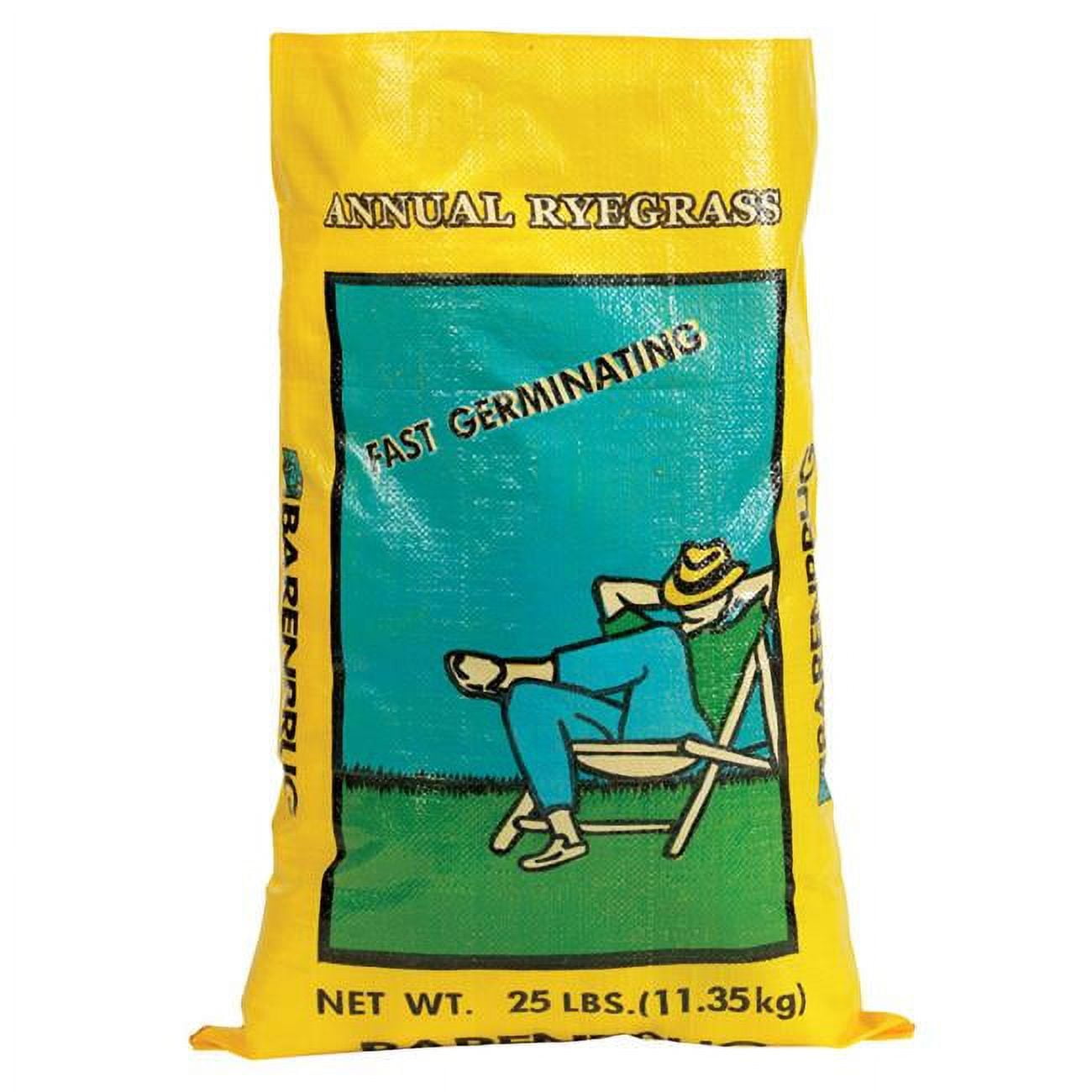 Annual Ryegrass Grass Seed, 25 lbs