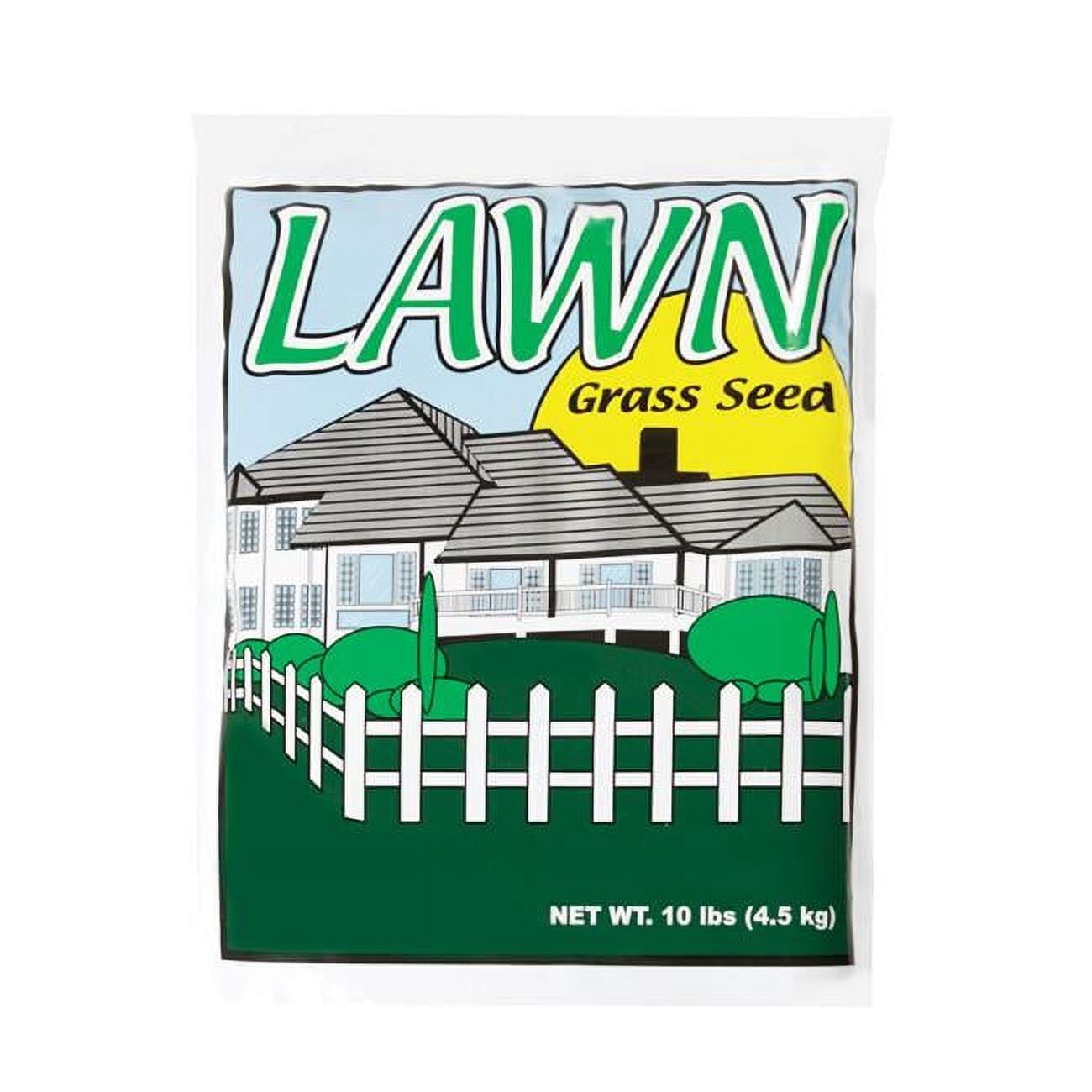 Annual Ryegrass Grass Seed, 10 lbs