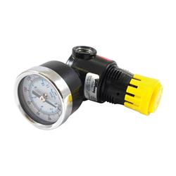 1892918 Plastic Air Line Mini Regulator with Gauge, 0.25 in. NPT 300 PSI