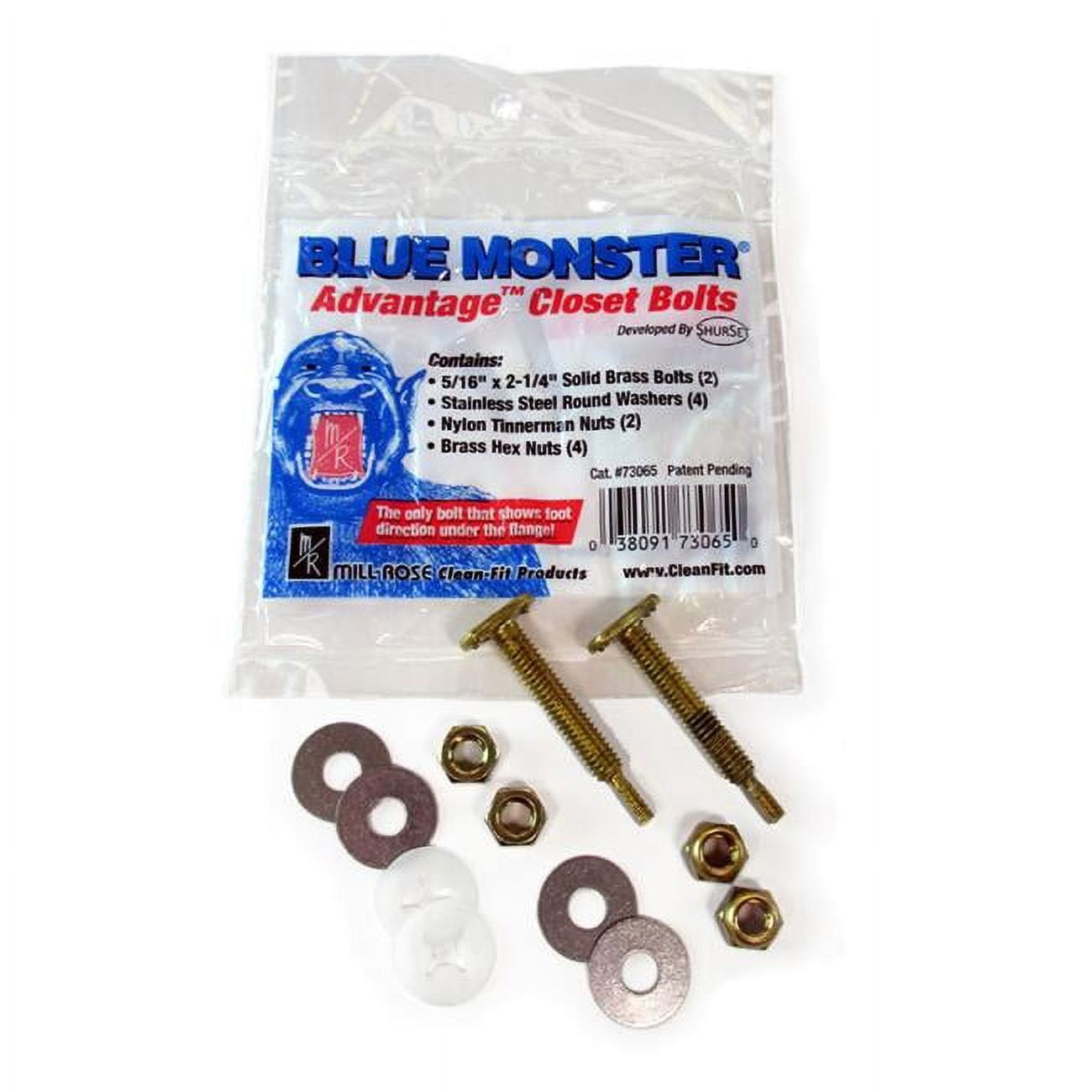 Picture of Blue Monster 4000240 0.31 x 2.25 in. Advantage Closet Bolts