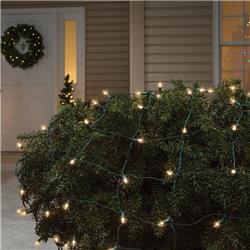 Picture of Celebrations 9016416 4 x 6 ft. Staylit Net Incandescent Commercial Light Set&#44; Clear - 100 Lights