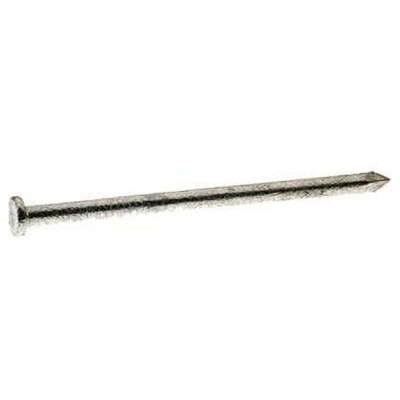 Grip-Rite  40D 5 in. 50 lbs Common Hot-Dipped Galvanized Steel Nail Oval