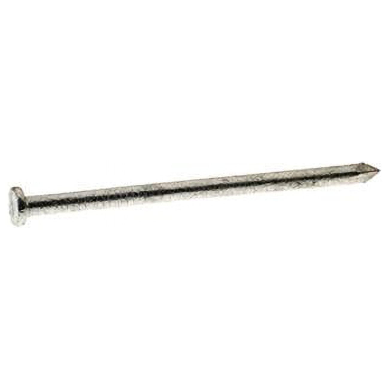 Common Nail, 4 in L, 20D, Steel, Hot Dipped Galvanized Finish