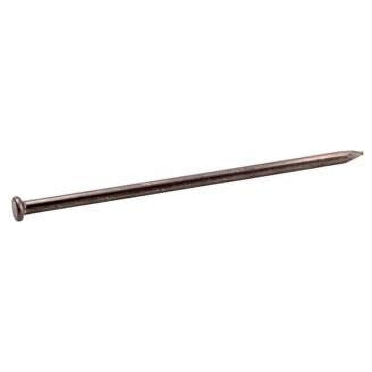 10 in. 5 lbs No. 0 Spike Bright Steel Flat Nail