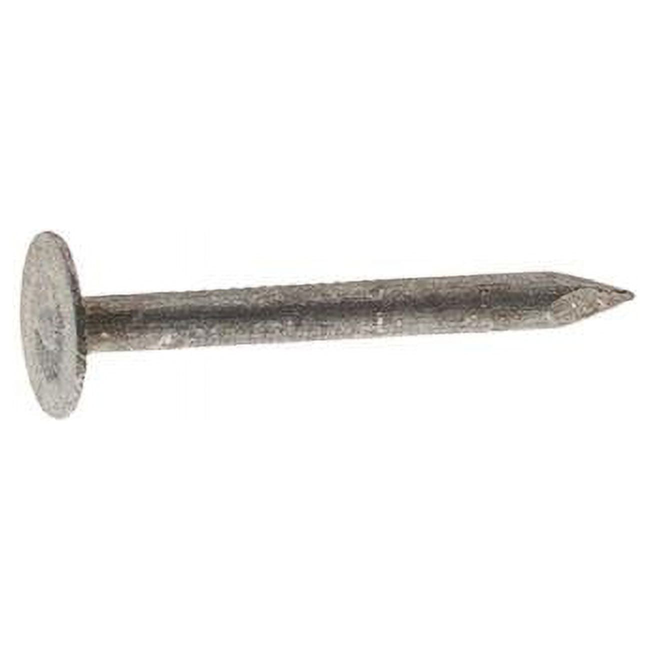 0.75 in. 50 lbs Roofing Electro-Galvanized Steel Round Nail